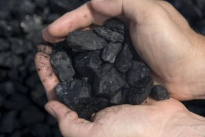 dp.uz.gov.ua: На Придніпровській залізниці за тиждень попередили 26 крадіжок